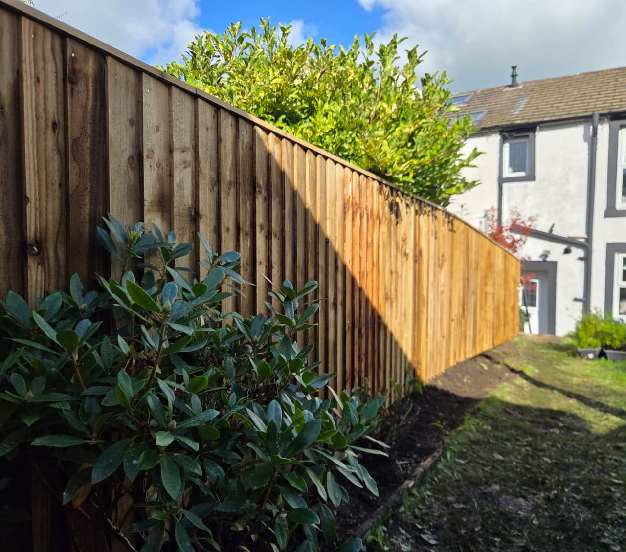 Looking along a new featheredge fence with a capping rail towards a house